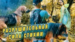 ЭКСТРЕМАЛЬНЫЙ ПОХОД на водопады реки АЖЕК// Сочи// 2023