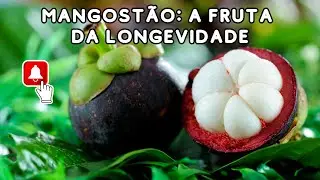 Benefícios do Mangostão: Como Esse Fruto Pode Mudar Sua Vida