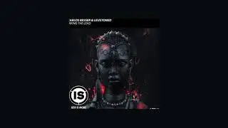 TAKING THE LEAD - CARLOS BESSER & LEUSTONED (ORIGINAL MIX)