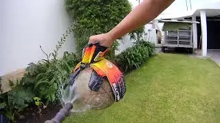 ELITE EAGLE