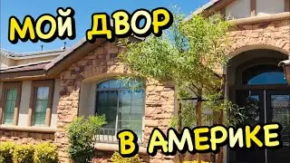 ПЕРЕДНИЙ ДВОР МОЕГО ДОМА В АМЕРИКЕ ЛЕТОМ 2020! ДВА НОВЫХ ВЕЧНОЗЕЛЕНЫХ ДЕРЕВА! AFRICAN SUMAC TREE!