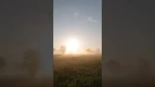Летний рассвет