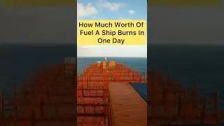How much worth of fuel a ship burns in one day? 