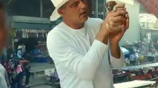 La importante de no tomarse fotos con los animales