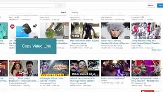 Easily save And Record Video From Any Website