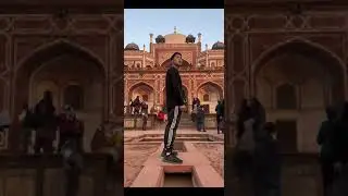 This tomb is WILD #Shorts