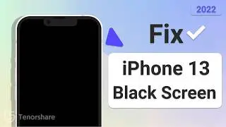 iPhone 13 Black Screen, 3 Easy Ways to Fix it 2026 (No Data Loss)