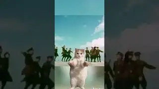 Come on now; let's dance!🪇🕺 | HOI4