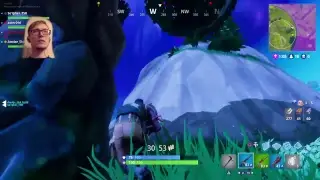 [PS4][DS4][RUS][CAM] Fortnite - shooting bush LIVE Stream