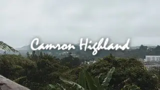 Cameron Highland, Malaysia | Cinematic Vlog