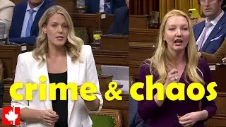 CHAOS & CRIME is at EPIDEMIC levels after 8 years of Liberal-NDP government