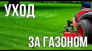 Уход за газоном | Правила выращивания газонной травы | Планета Агро