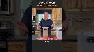 How to Get Rid of Bugs In Your Stored Grains