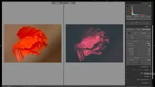 Adobe Lightroom CC - Creative B&W with Split Toning
