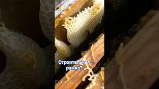 Нужна ли строительная рамка?