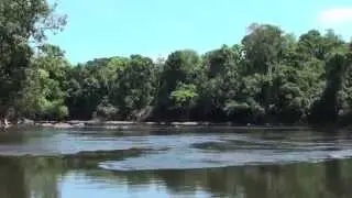 Cristalino Jungle Lodge