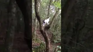 Fun