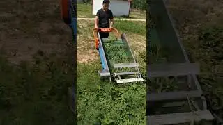Farm Agricultural Vegetable Harvester
