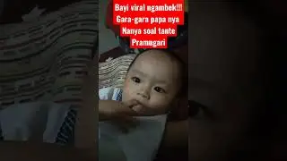 Bayi Viral ngambek papa nya Nakal nanyain tante tante Pramugari