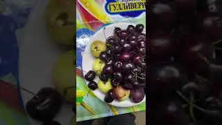 Фруктовая тарелка !