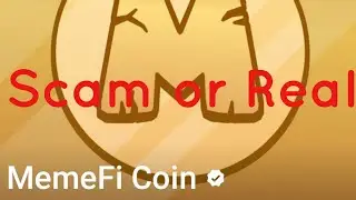 Memefi Scam Or Real Why Date Change Something Smell