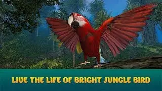 🐦Wild Parrot Sim 3D: Jungle Bird Fly Game-Симулятор Диких Попугаев-Virtual Animals World-Android