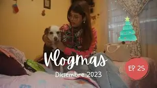 #VLOGMAS2023 - EP 25: vitrineo, haul y despedida | giatosetti ✨