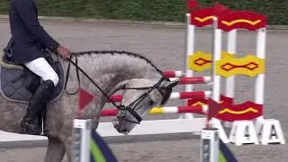 Trailer Neustadt 2020