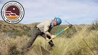 Crew Leader Development with Conservation Corps New Mexico