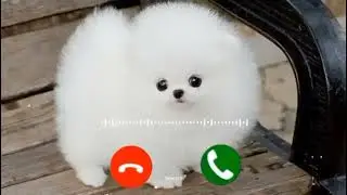 Notification Ringtone | Best message tone | Sms tone | sms Ringtone 2020360p