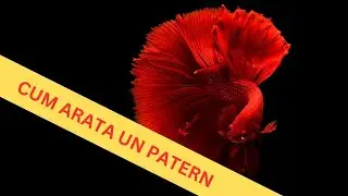 TRUE PATTERN
