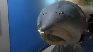 Краеведческий музей в Астрахани!!!