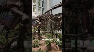 Allosaurus: Quintessential Theropod 