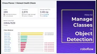 How to Manage Classes in Object Detection (Rename, Combine, Balance)