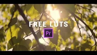 3 FREE LUTS | PREMIERE PRO