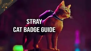 Stray Cat Badge Guide