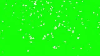 Flowers Blossom Falling Green Screen Effects