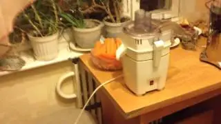 Тест соковыжималок Bork S501 СВСА 308 м