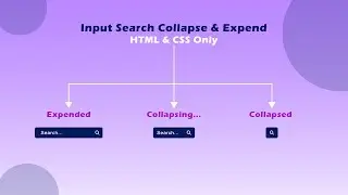 Create Expend & Collapse Input Search | Code Effect 