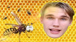 KEEP THIS KID AWAY FROM WASPS!
