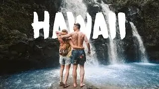HAWAII - NEVER LET YOU GO