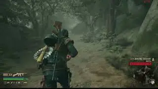 Days Gone 