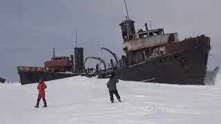 Тикси 2019