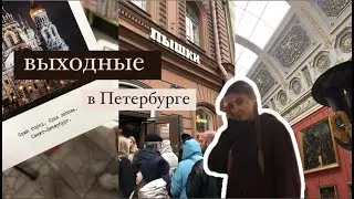 выходные в ПЕТЕРГУБРЕ/влог/семейная поездка/эрмитаж