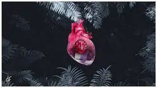 PNL (Ademo) - MOWGLI Instrumental