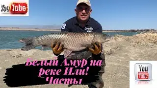 Рыбалка на реке Или/ Кокжиде/ Белый Амур/ Апрель 2021/ Часть первая/