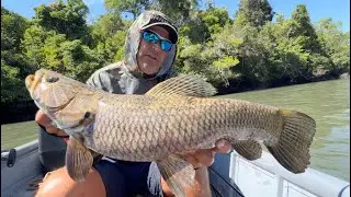 PESCARIA EM BUSCA DE TRAIRÕES GIGANTES