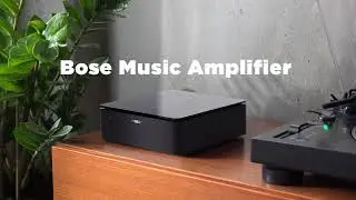 Bose Music Amplifier | Âm Thanh Của Bạn, Khuếch Đại Mạnh Mẽ Hơn.