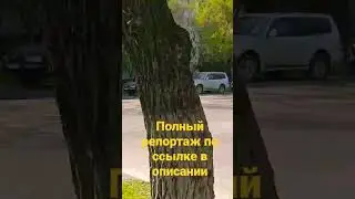 Алматы. Навои. полный репорт здесь https://youtu.be/iPhFgNMAAnw