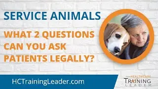 Service Animals: What 2 Questions Can You Ask Patients Legally?